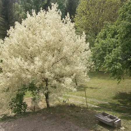 Valescure Appartement *